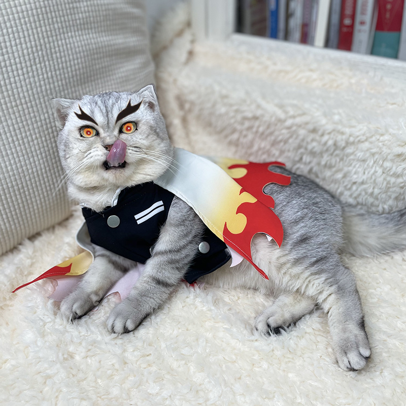 女性のための巨大なペットの変装,動物のモチーフ,孫悟空,アリ - Cosplay Flame Prop のレビューと価格