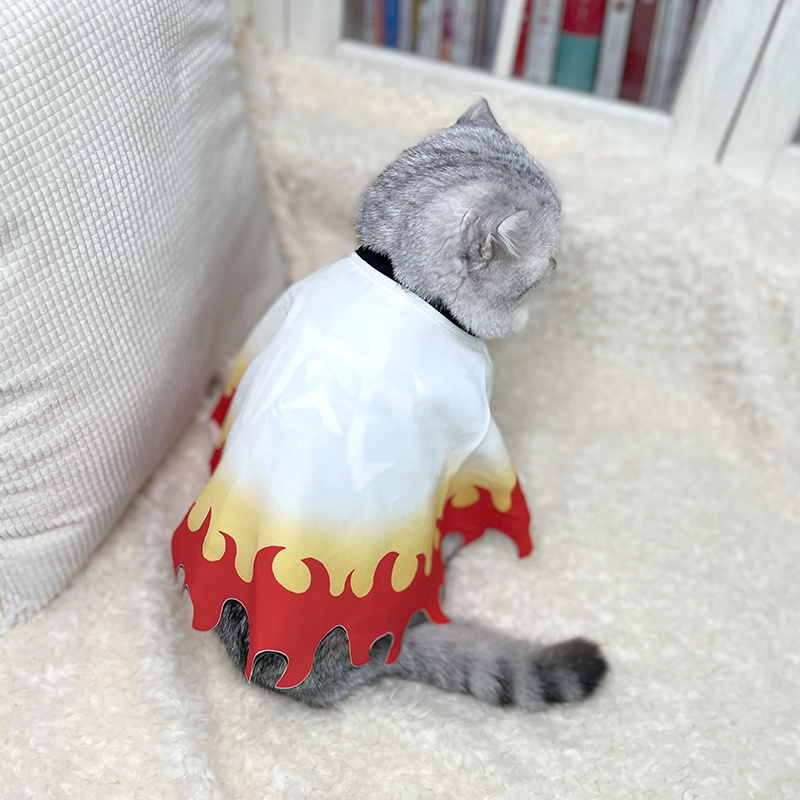 女性のための巨大なペットの変装,動物のモチーフ,孫悟空,アリ - Cosplay Flame Prop のレビューと価格